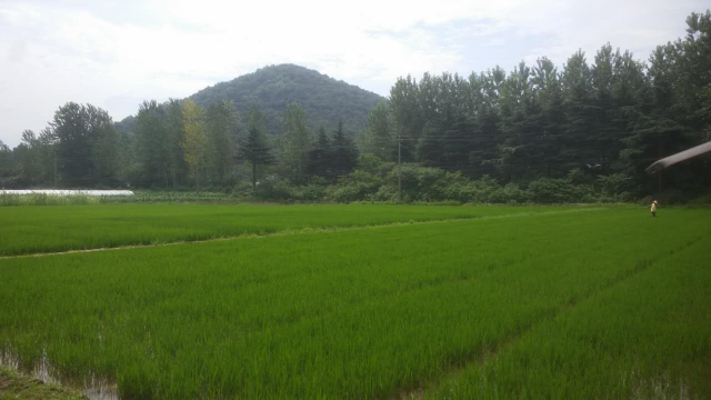 苏乐种业公司科研动态