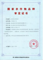 公司小麥新品種中研麥1號通過國審