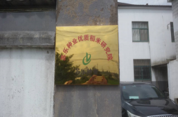 苏乐种业公司科研动态