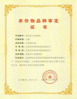 公司小麥新品種中研麥0709通過江蘇省審定
