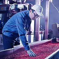 生産加工與質量控製